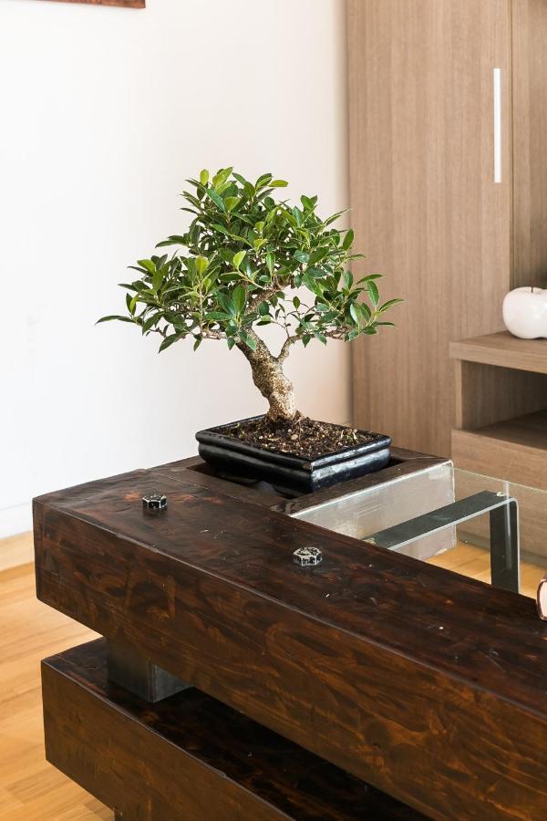 Home House Borgo Pio 195 로마 외부 사진